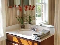 walk-in-bathtub-zionsville