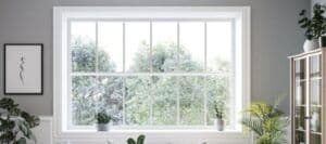 windows